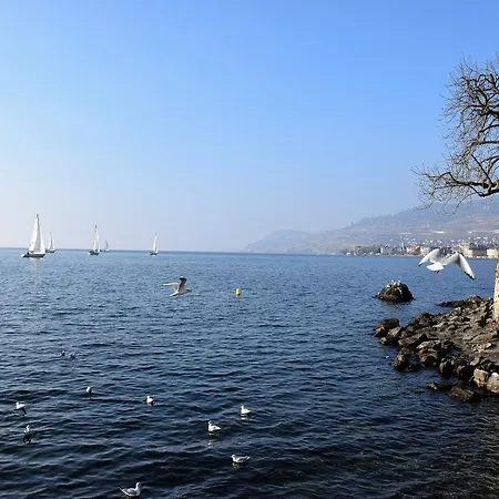 Bed & Breakfast La Maison Vevey